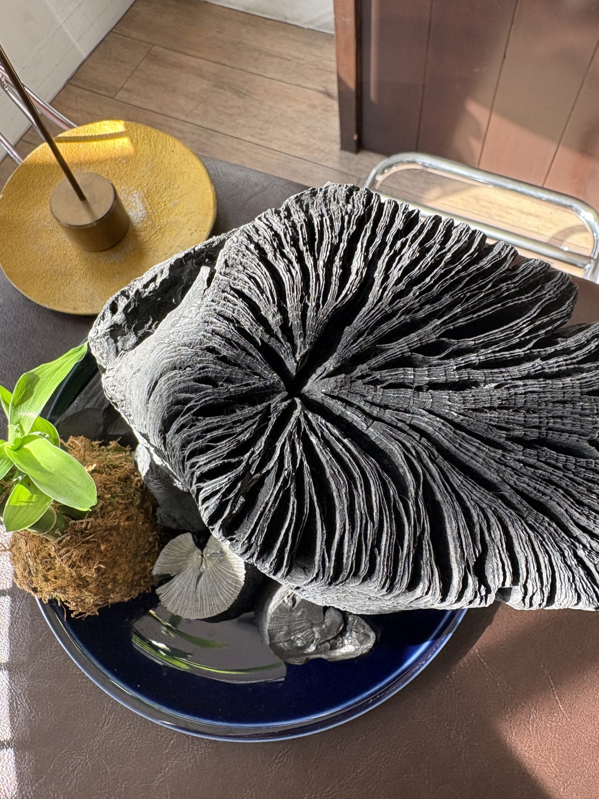 備長炭効果